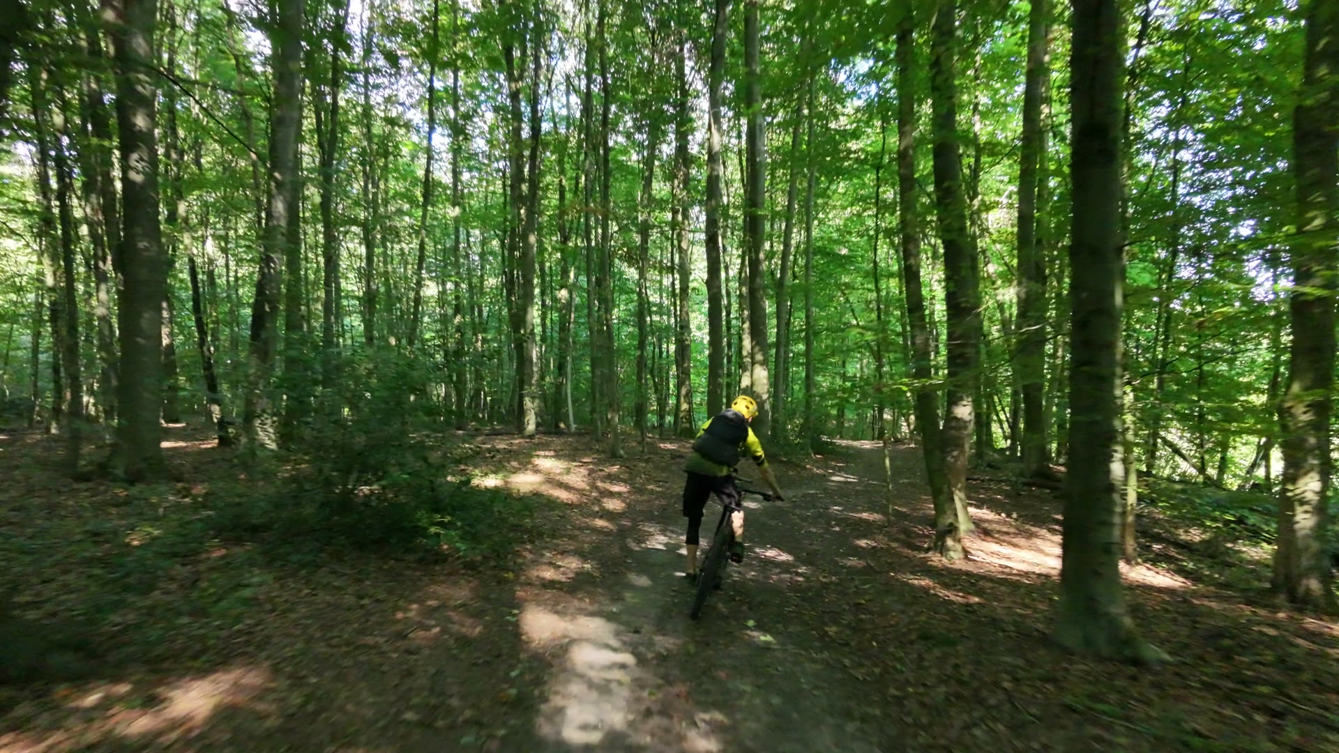 Die Drohne folgt Jens auf dem eMTB über einen Trail durch einen sonnigen Buchenwald
